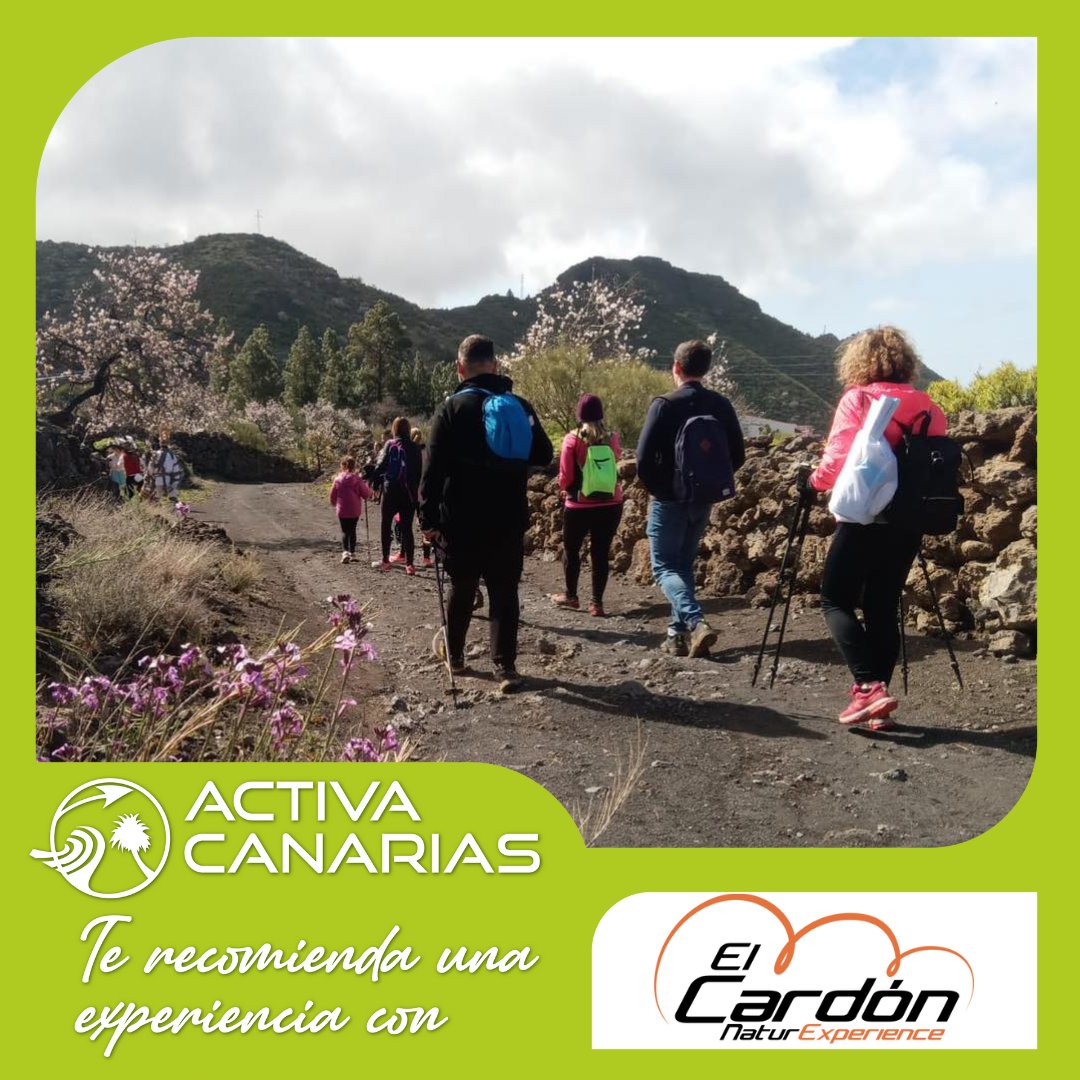Ecoactiva Canarias tweet media