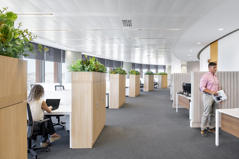 CHAVSA_'s tweet photo. 🏢 Las oficinas modernas son mucho más que simples lugares de trabajo.
 
👉🏽 Son espacios donde se fomenta la creatividad, se construye la cultura corporativa y se impulsa el rendimiento. https://t.co/zFywLE1Ms1