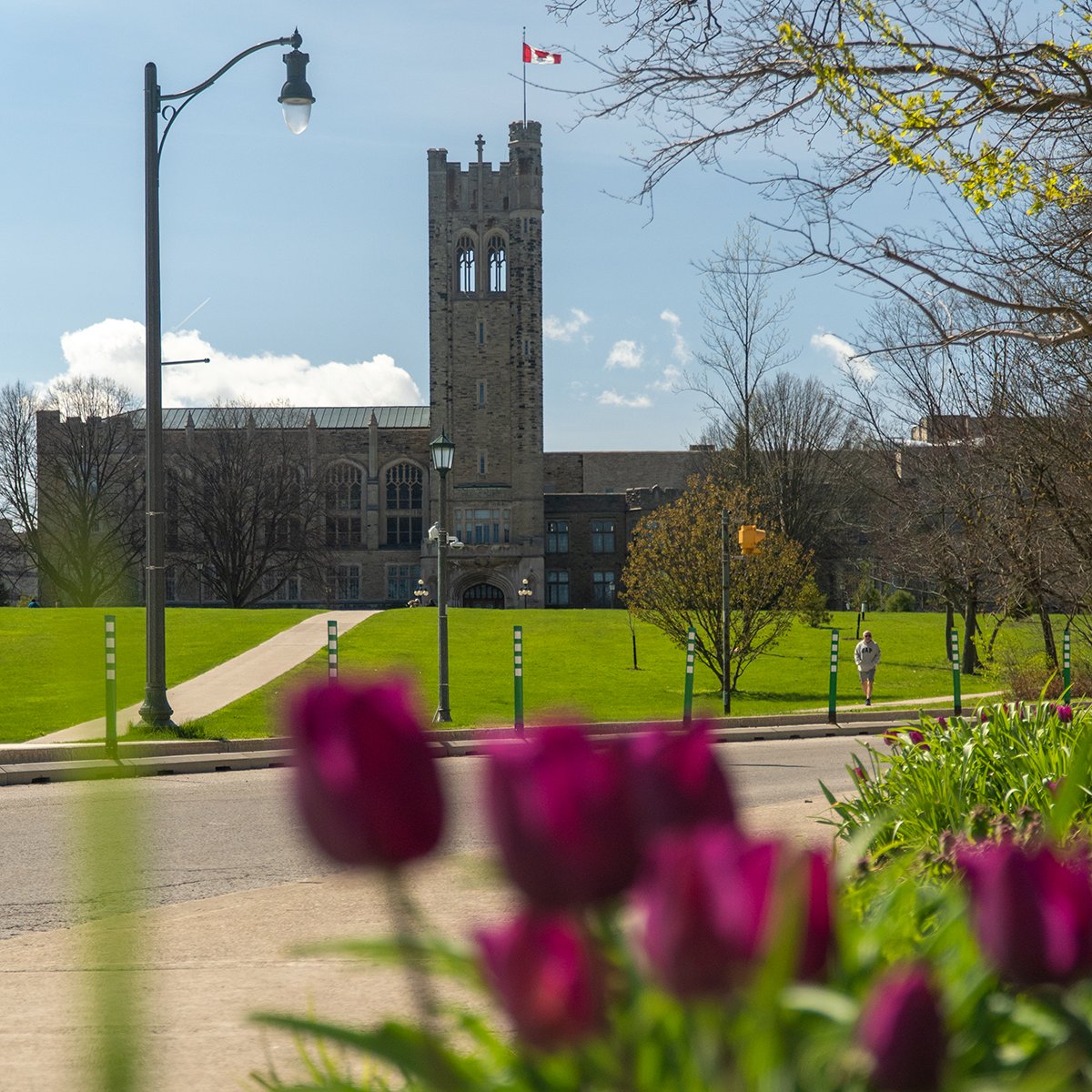 It's the last day of exams and the official end of winter term, #WesternU! Whether you're taking a break from campus for the summer or staying to take courses, don't forget our international student advising team will be here to help if you need support: iesc.uwo.ca/about_us/advis…
