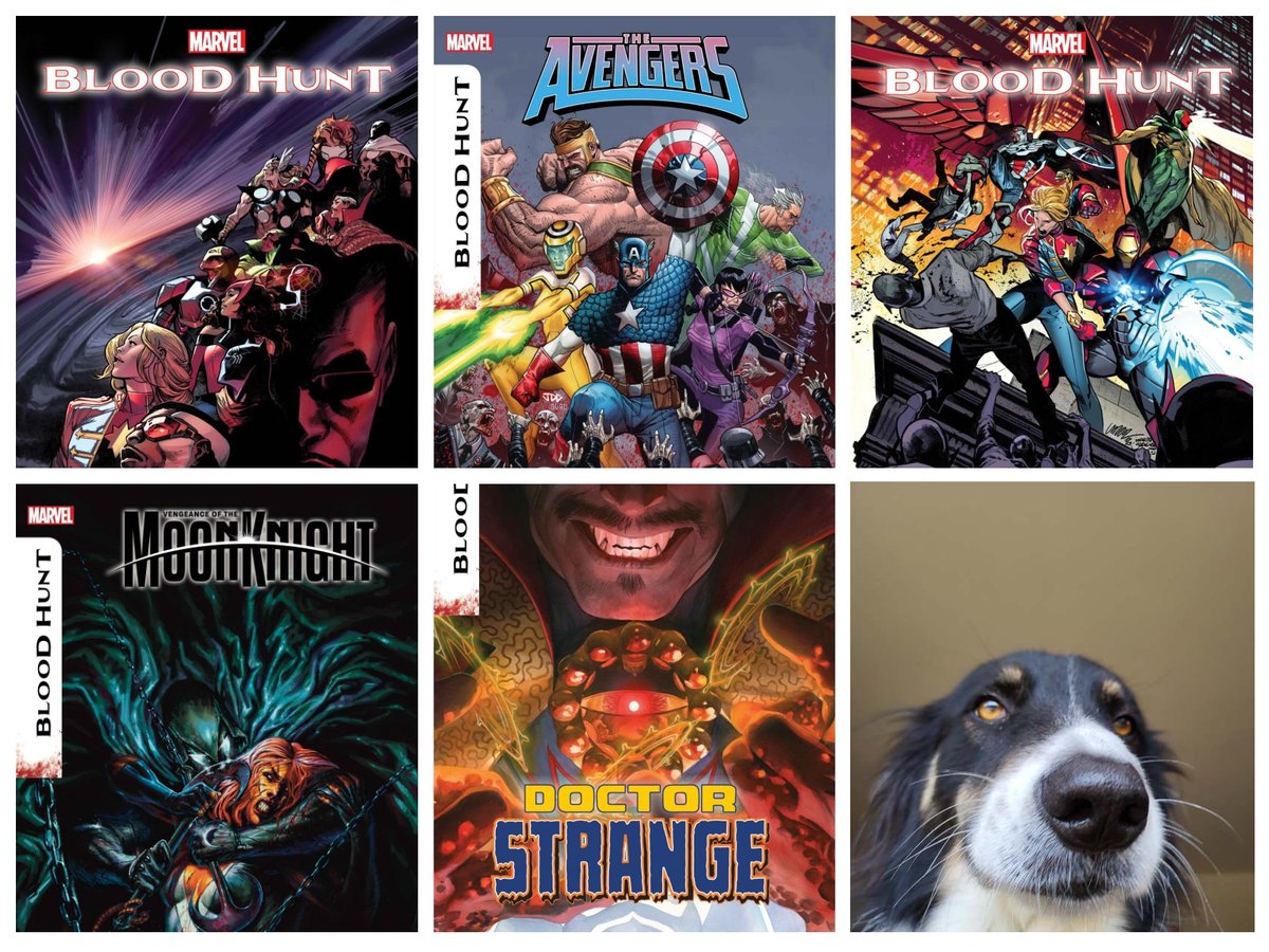 MAY BOOKS: May 1: BLOOD HUNT #1 May 1: VENGEANCE OF THE MOON KNIGHT #5 May 8: AVENGERS #14 May 8: DOCTOR STRANGE #15 May 22: BLOOD HUNT #2 Every day: A PICTURE OF MY DOG BECAUSE I NEEDED 6 IMAGES FOR THE COLLAGE WEBSITE