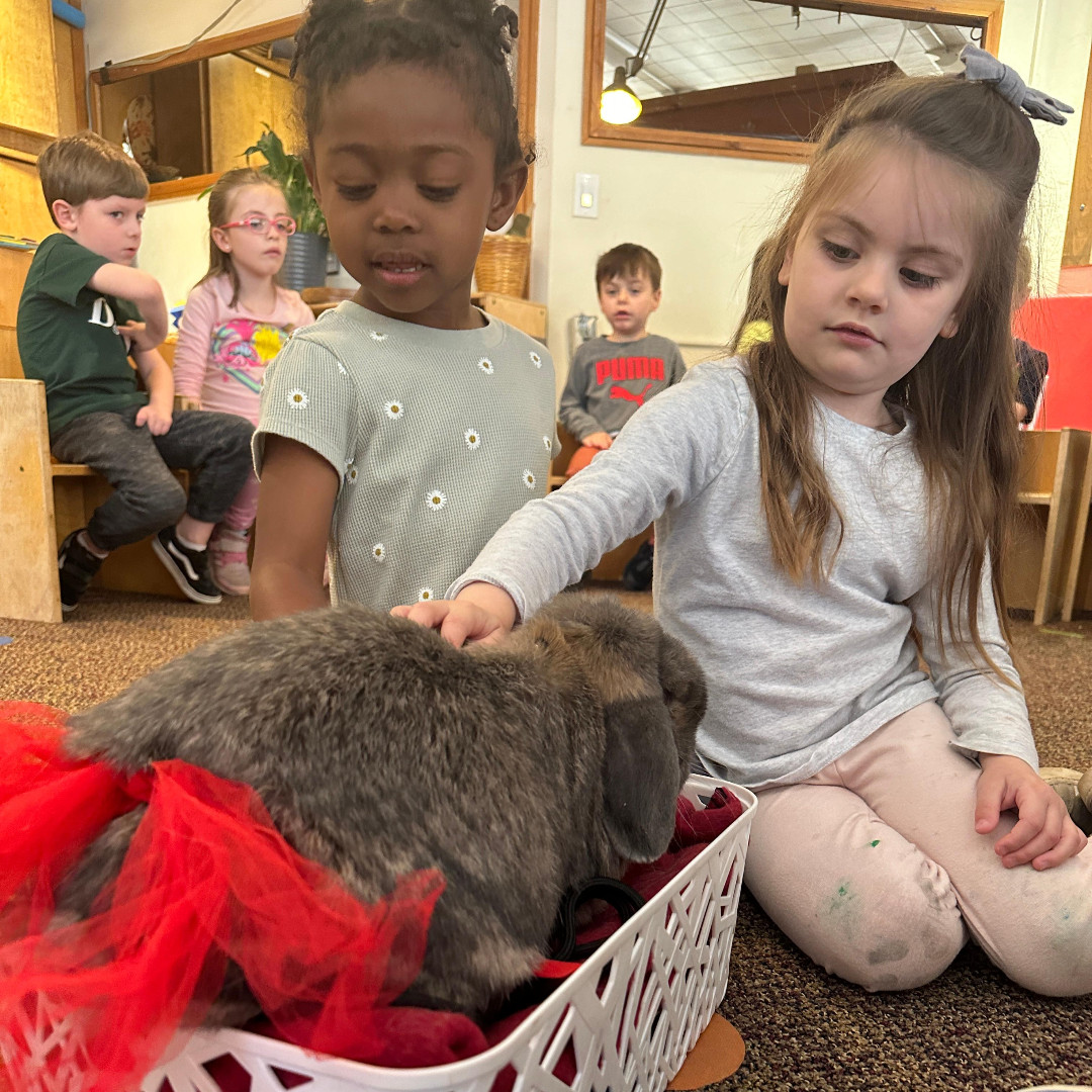Happy National Therapy Animal Day!  Today we want to give a big thank you to all the therapy animals and their amazing handlers for bringing comfort, joy and support to our students. We appreciate all that you do! #TherapyAnimalDay #cheshirectpublicschools #cheshirepublicschools