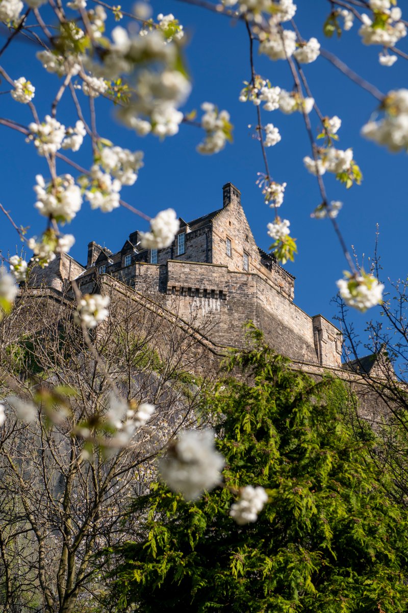 Edinburgh Castle tweet media