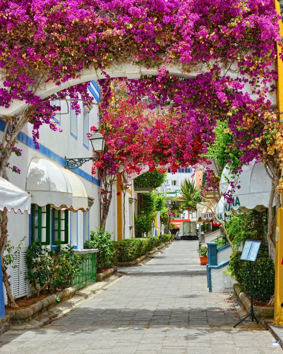 Canary Islands, Spain 🇪🇸 | #tuesdayvibe