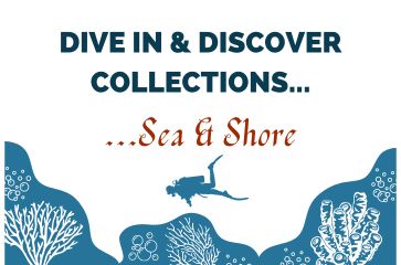 Join us Wednesday 1 May 14:00-15:00 for Dive In & Discover: Sea & Shore. View naval intelligence reports in 18th century newspapers, graphic designs from Elizabeth Friedlander, photographic materials of beaches & seascapes from the Alen MacWeeney archive. #speccolls #archives