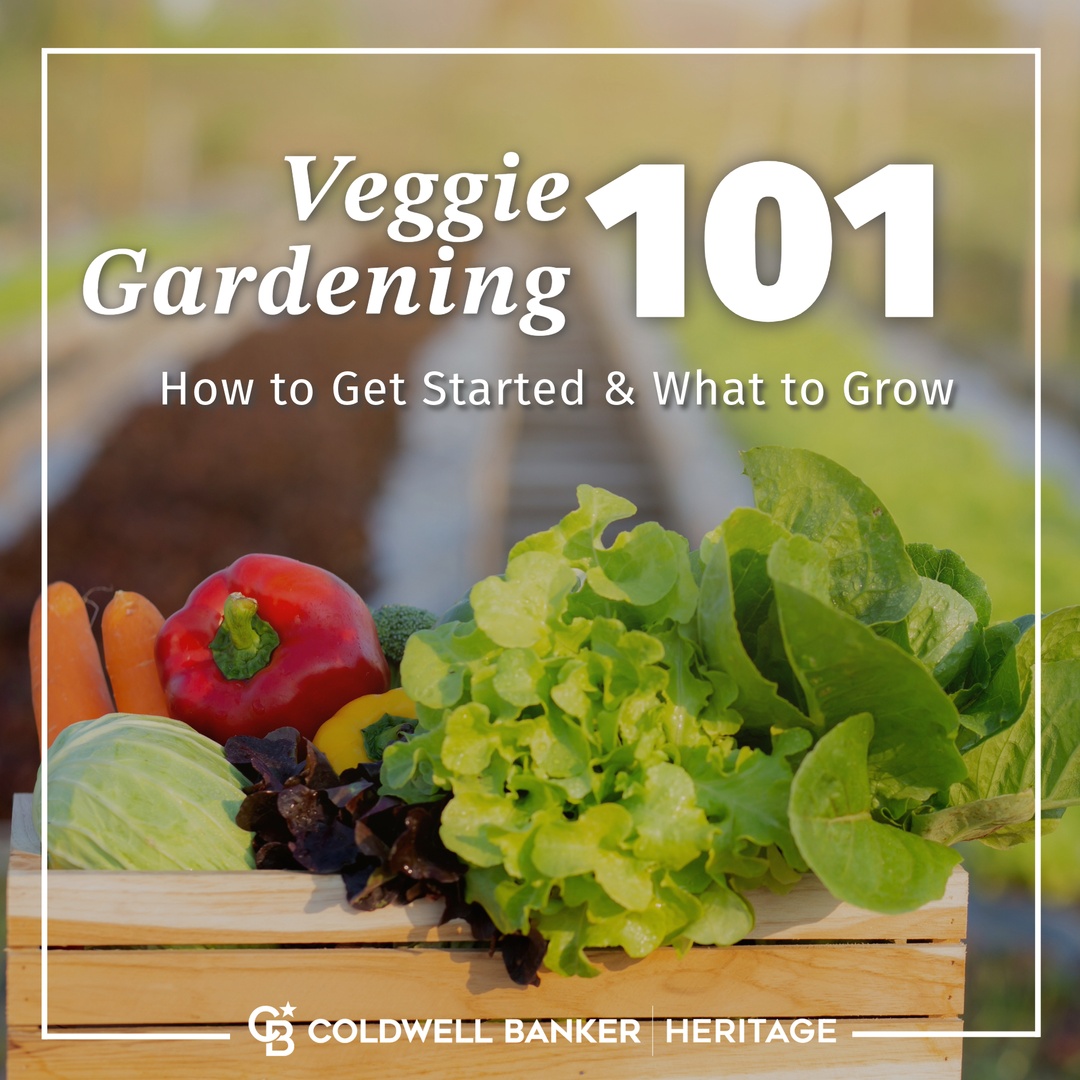 Looking to start a home garden this spring? 🌱 Check out our new #CBHBlog for tips on choosing the best location, prepping your soil, and what veggies to grow. Read it now! 🍅🌶️ bit.ly/4aMmZa4 
#homegarden #vegetables #spring #ColdwellBankerisHome