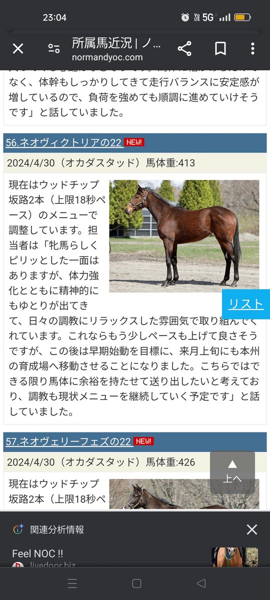 ネオヴィクトリア
3kgダウンも順調で馬体もよい
やはり、あまり体重は増えないかな🐎