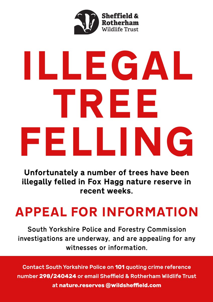 Sadly, a large number of trees have been illegally felled at Fox Hagg nature reserve in recent weeks. #Sheffield