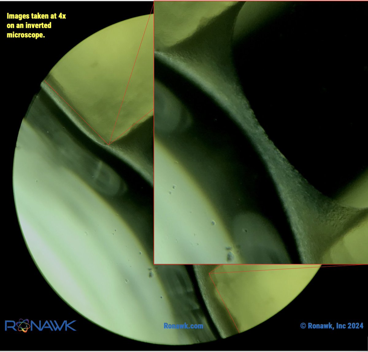 Are these cells healing a perceived wound or what? Bio-Blocks give them the environment to create complex structures that mimic tissue. Lets collaborate, email us at info@ronawk.com. #adiposestemcells, #cellculture, #tissueengineering, #mesenchymalstemcells