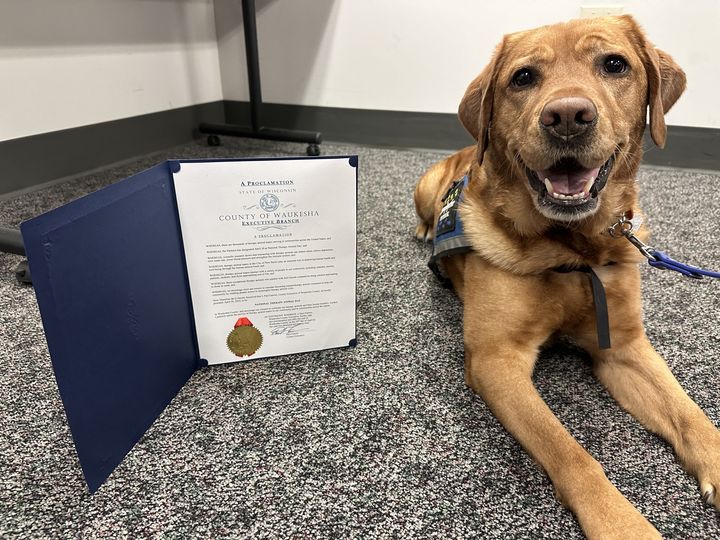 April 30th has been designated as National Therapy Animal Day.  Pepper salutes all of the therapy animal teams working to bring comfort to those in need! Pepper is important team member of ours assisting in the Waukesha County Victim Witness Program. #animaltherapy #healing