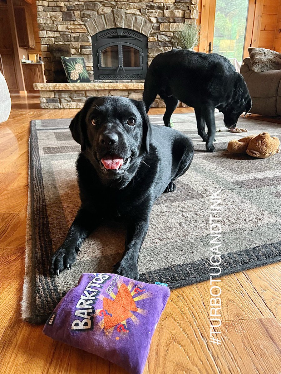 We having a pawty!!!🥳🥰 We gots the Barkito’s … what’cha gonna bring to our pawty?!🤓😅😂🥳🐾😘😘😘
#DogsAreFamily #dogsarelove #labradorable #shenanagins #TurboTugandTink