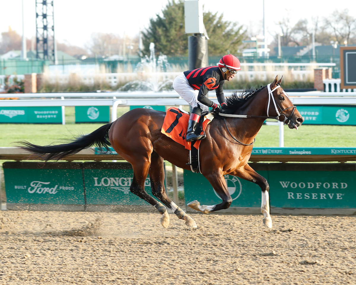 NewVocations's tweet photo. Join us in cheering on #TrackPhantom for the @KentuckyDerby as he races for more! Track Phantom was selected as the horse to represent New Vocations in the @ChurchillDowns Derby Gives campaign. Learn more at: https://t.co/M3zJps53J3. Track Phantom photo by @KurtisCoady. https://t.co/wOsDPDOcWh