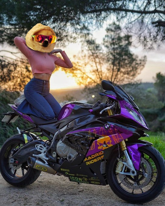 Pupper_coin's tweet photo. #BikerGirl https://t.co/T8X6Ta2jqz
