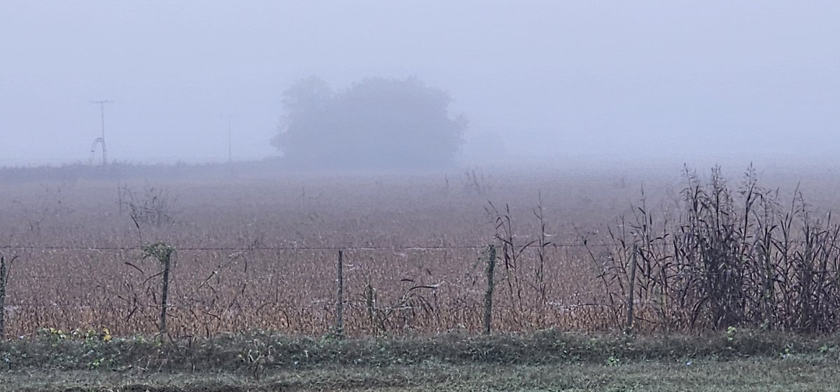 Gabr. De Raedemaeker tweet media