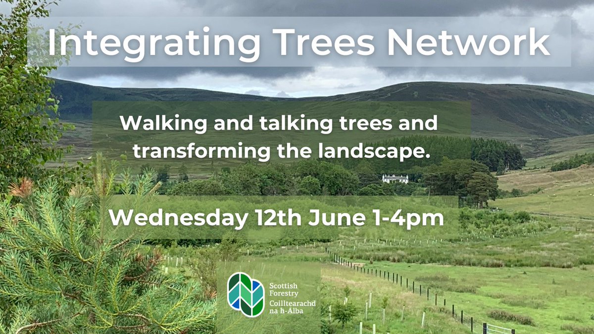 🌲 Integrating Trees Network Event🌳 Free Walking & Talking trees and transforming the landscape event with @DeeWardRottal at the Rottal Estate. Contour & riparian planting, natural regen & restoring wetlands all explained. Wed 12th June 1-4pm ▶️tickettailor.com/events/integra…