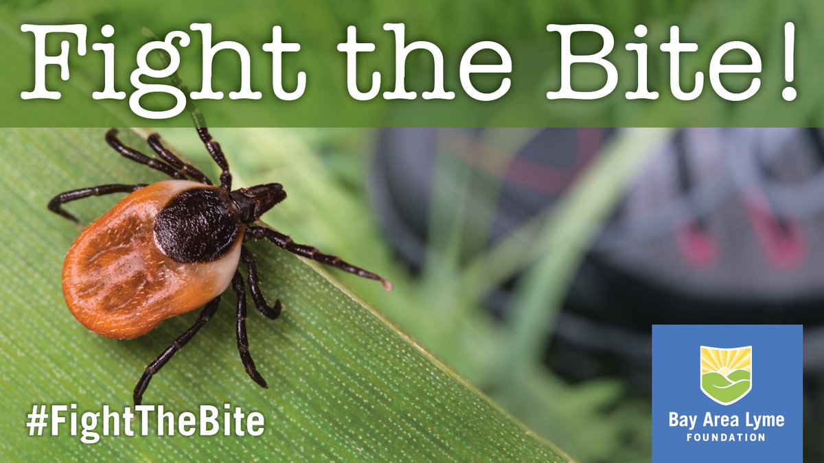 May is Lyme Disease Awareness Month! Help bust myths & raise awareness so the public knows the clock on tick disease transmission, & #Lyme rash facts. Together, let's work towards prevention, early detection, & improved diagnostics of Lyme. Lymeawareness.org #FightTheBite