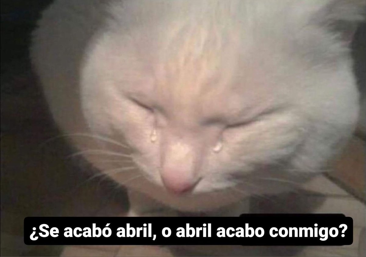 寂 (@kenzmareu) on Twitter photo 