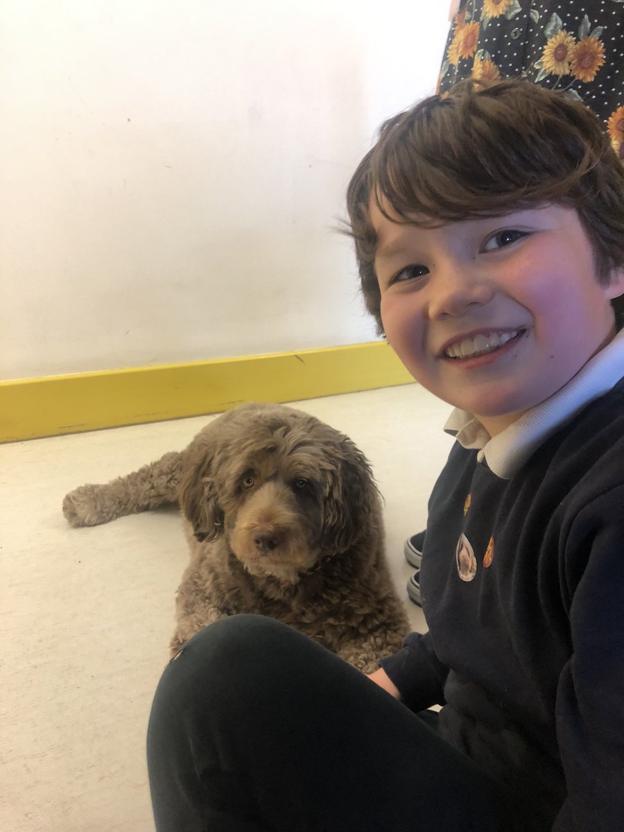 @LSEATWoodside Ethan came to see Mr Bramble today for a cuddle. Ethan said “ l Love him so much, I want to see him everyday’ #goodfriends #thedogmentor #happychildren