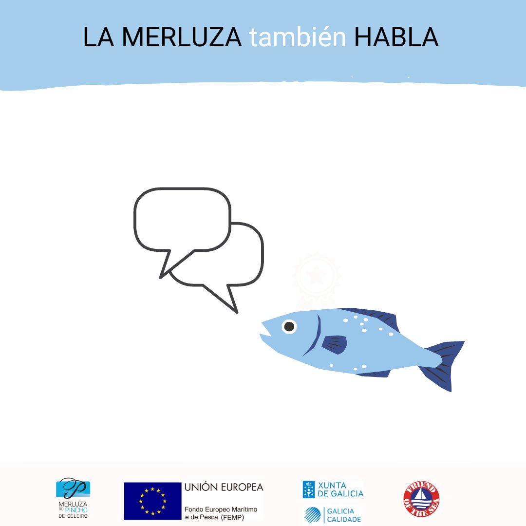 ¿Sabías que...? La merluza también es capaz de producir sonidos. Estos sonidos son utilizados en la comunicación dentro de sus grupos sociales y pueden desempeñar un papel en comportamientos como la reproducción y la búsqueda de alimento.
📢🐟
#merluzadelpinchodeceleiro
