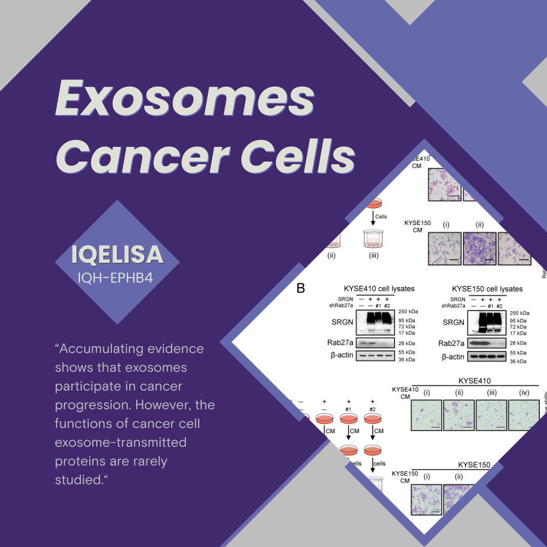 Immuno-PCR (IQELISA®) cited in exosome research!
Read the paper -&gt; lnkd.in/eMT-CYRX
IQELISA platform: lnkd.in/ggq-gqm8