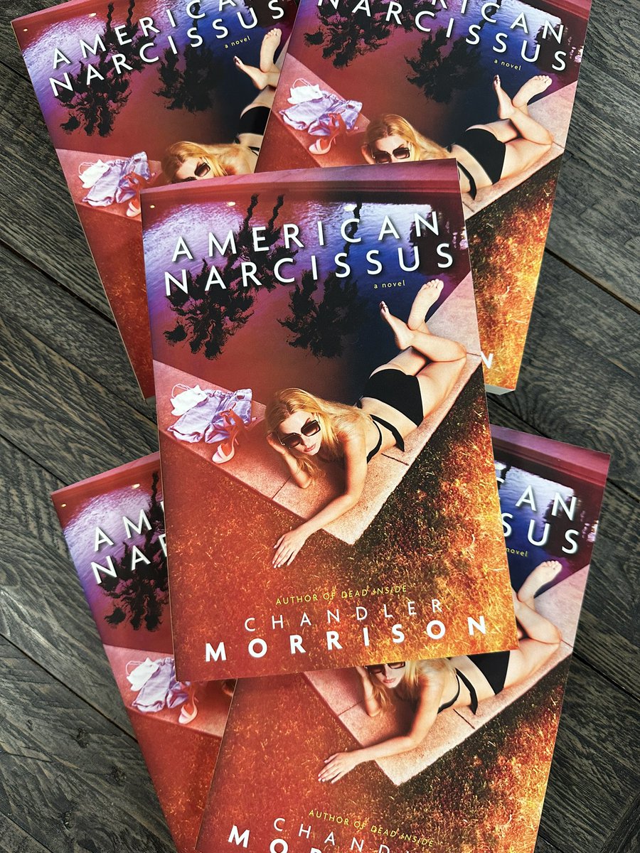 Due to be released on May 14th from Chandler Morrison and Dead Sky Publishing comes AMERICAN NARCISSUS 🔥 @mechachandler We’re stoked in this one and you should be too! Pre-order now on Amazon or wherever you buy your books 📖