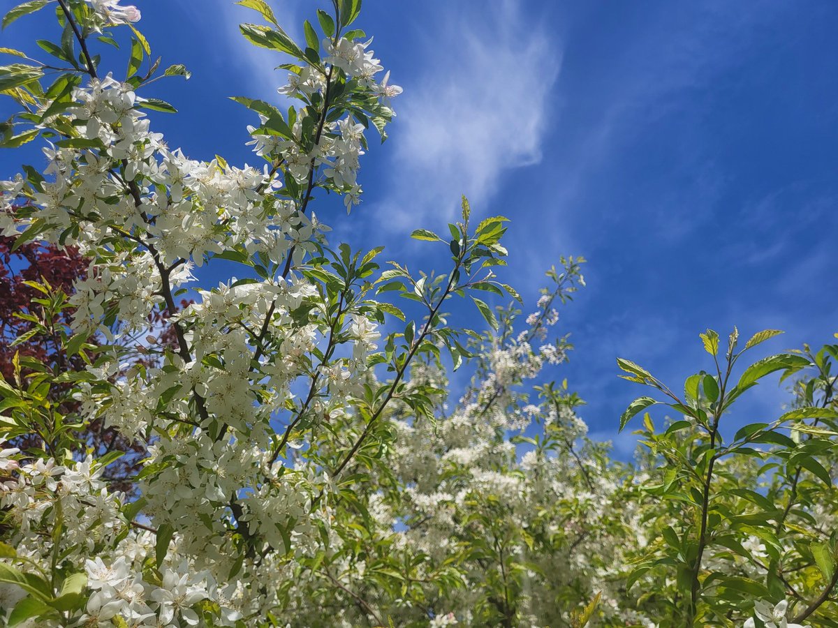 Ah! The view from the hammock! #relax on #holiday at the #chalet in the #wealdaonb and #explorekent and #visitsussex