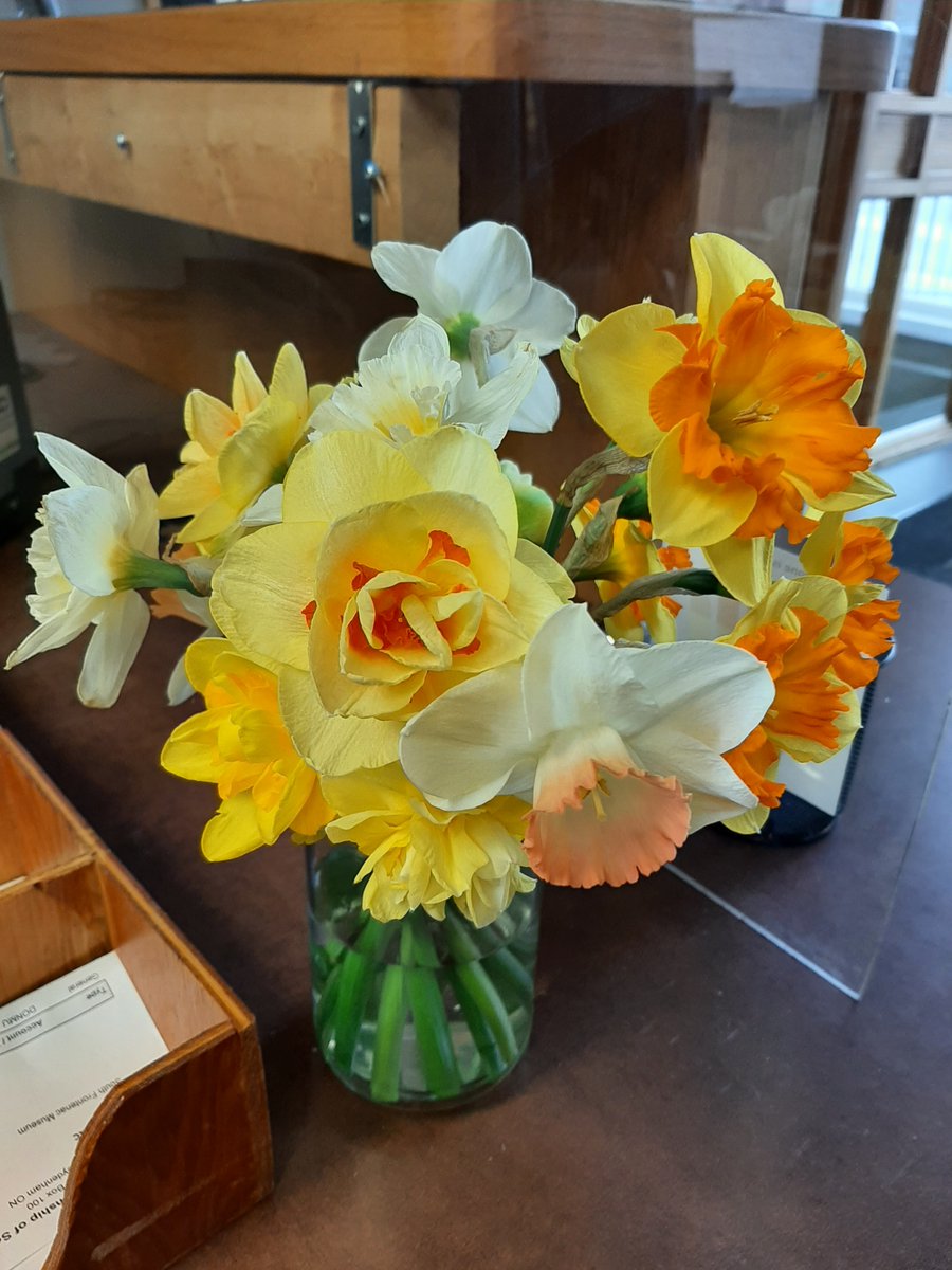 A resident recently dropped off this beautiful bouquet of daffodils at reception to thank our staff and to spread good cheer and sunshine so we thought we'd keep spreading the cheer. Thank you for brightening our day! 💐 #LocalLove