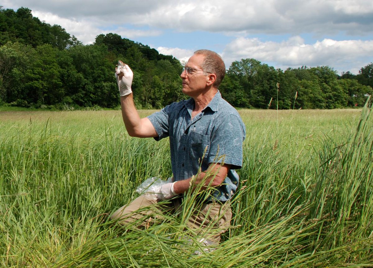 Congrats to my former postdoc mentor and awesome dude Richard Ostfeld from @caryinstitute on being elected to the National Academy of Sciences today! He's done really inspiring long term research on small mammals, ticks, and pathogens.