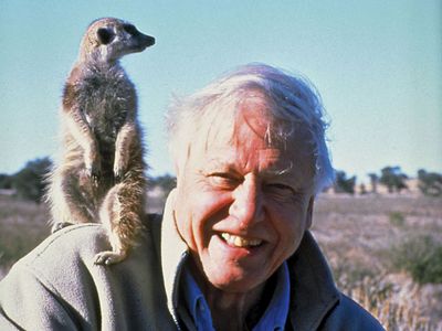 Many years ago I had to move a huge table for someone.
Sir David Attenborough helped me. 
Afterwards he said: ' l bet when you got up this morning you didn't think you'd be doing this with me'!! True!!
Happy Birthday Sir!!