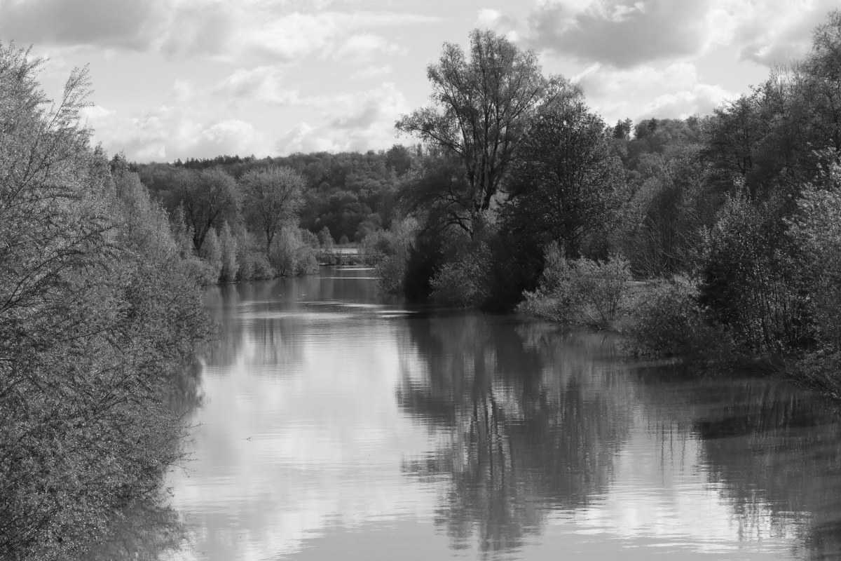 #photo #photography #blackandwhite #trees #river #landscape #Schieder #landscapephotography #Fotografie #blackandwhitephotography #monochrome #clouds