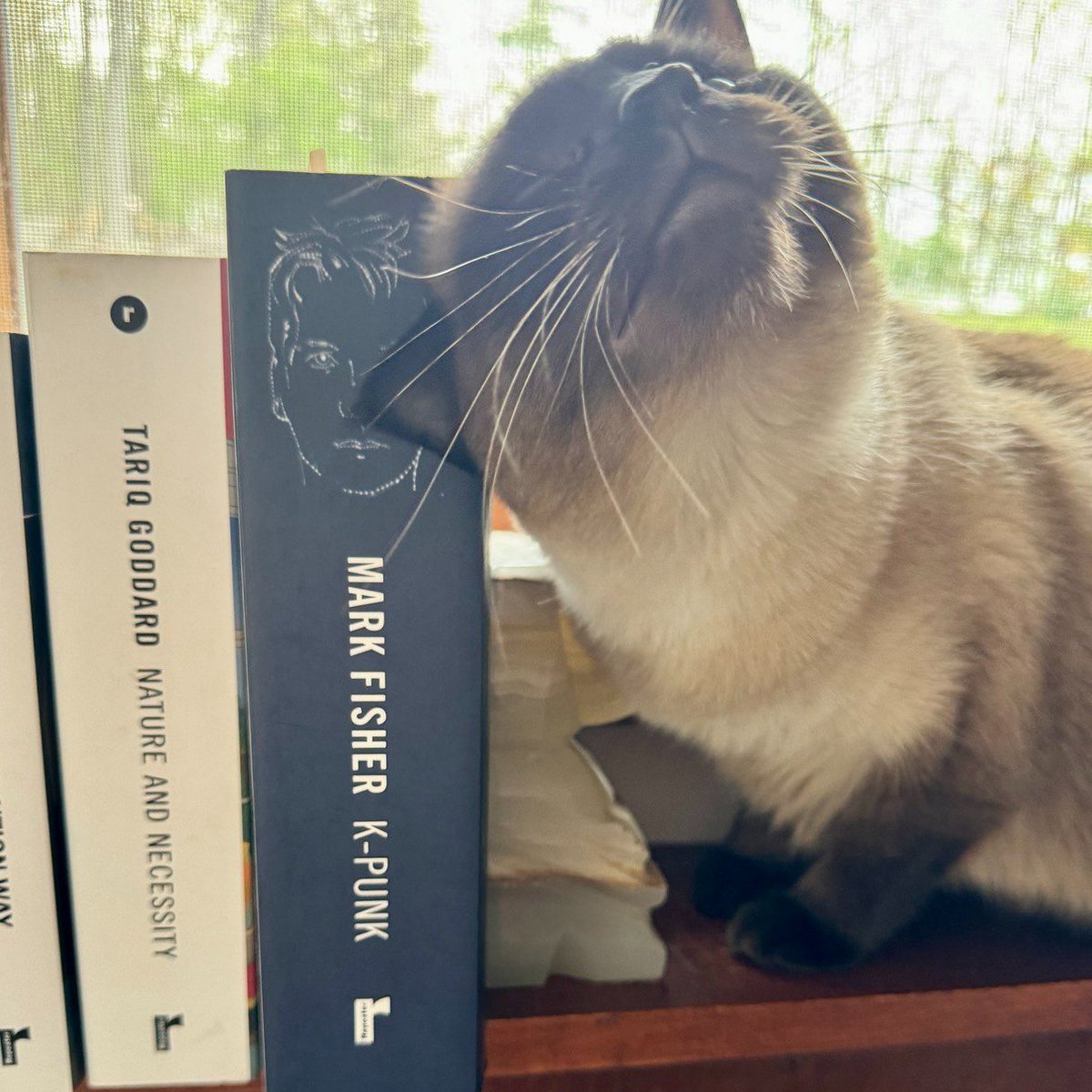 Pearl is rubbing on K-Punk, yes, but she's also a big fan of Tariq Goddard (whom she met when he visited). He co-founded @Zer0Books with Mark before the era of @RepeaterBooks. Tariq was an early supporter of our work, and since then he's been a brilliant friend and mentor to us.