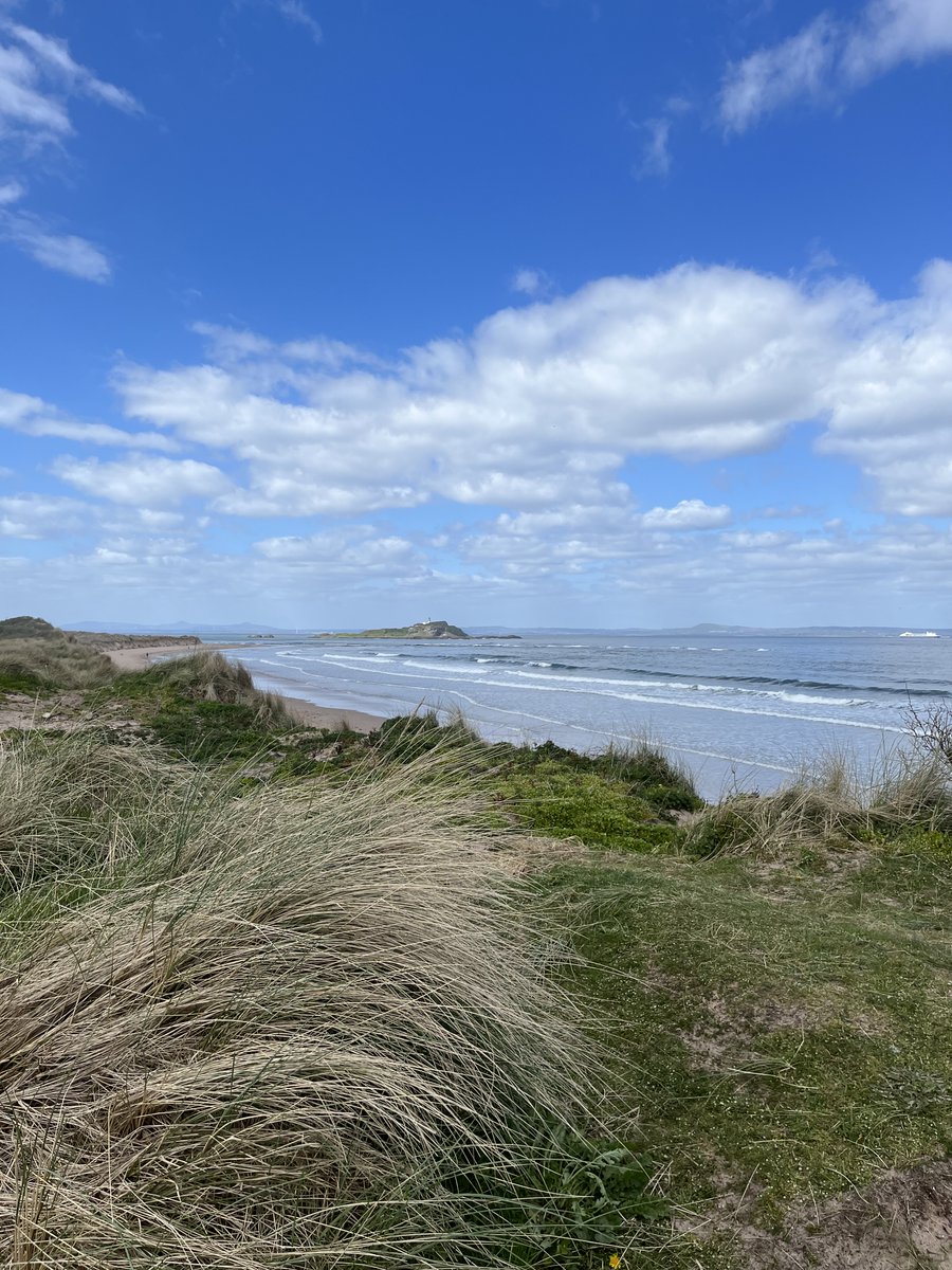 Holderness & Bourne tweet media