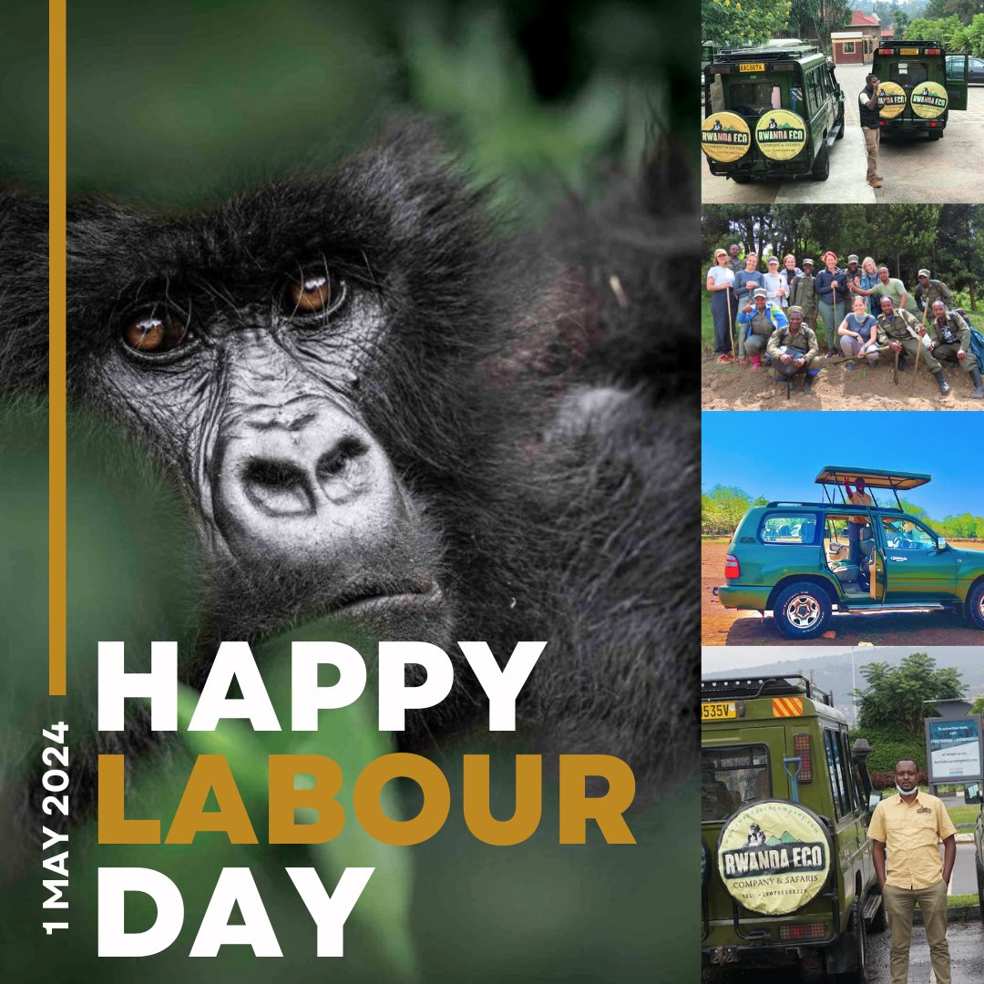 Happy Labour Day to our incredible Team members and tour guides!
Your dedication brings adventures to Life, Today we celebrate You.
#LabourDay  #LabourDay2024 #LaborDay2024 #rwandaecocompanyandsafaris