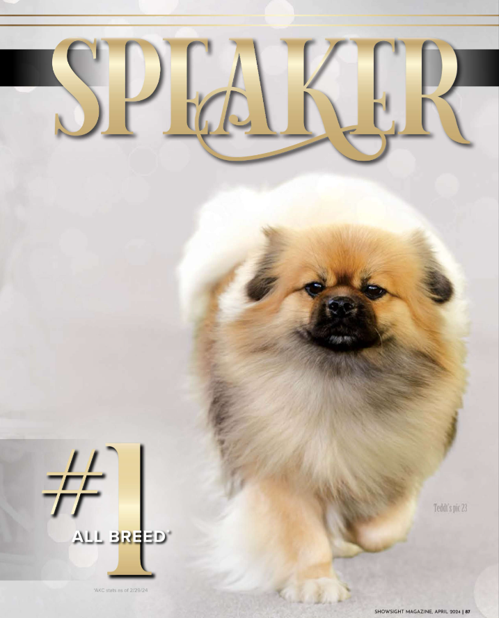 MBIS MBISS MRBS GCHP LANTANA'S ME TO TALK AT BRADMAR CGC

Amazing Speaker!⭐

t.ly/h8pjL
Enjoy the Article: bit.ly/3iql84t

#tibetanspaniel #purebred #dogshow #dogshow2024 #bestinshow #bestinshowsight