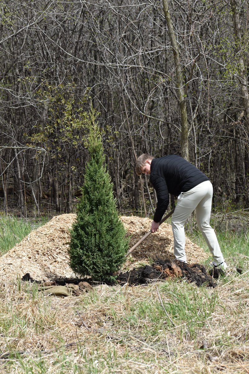 CommunitiesONHS's tweet image. 🌲planting was a great success!!! Thanks to all who came out to support Charlie, Connor, & Garret. This was the 1st step towards making @OshkoshNorthHS a #treecampus. It was a pleasure to work with @CityofOshkosh. #arborday