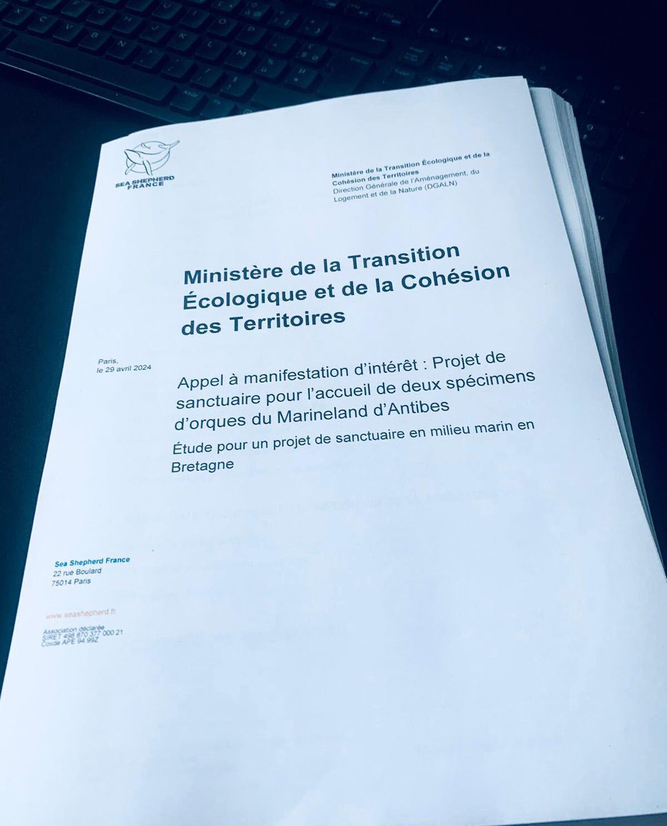 Ça y est ! C’est fini. Voici les 90 pages du dossier qui est déposé ce soir pour présenter notre projet de sanctuaire pour Wikie et Keijo. Un sprint d’un mois à peine pour réunir les expertises nationales et internationales à même de relever un défi colossal, encore jamais