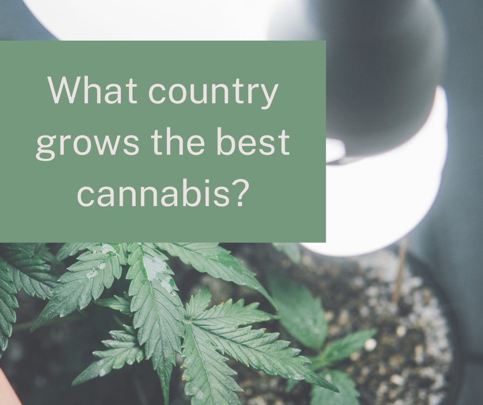 There are a handful of countries that are known for the best growing conditions.