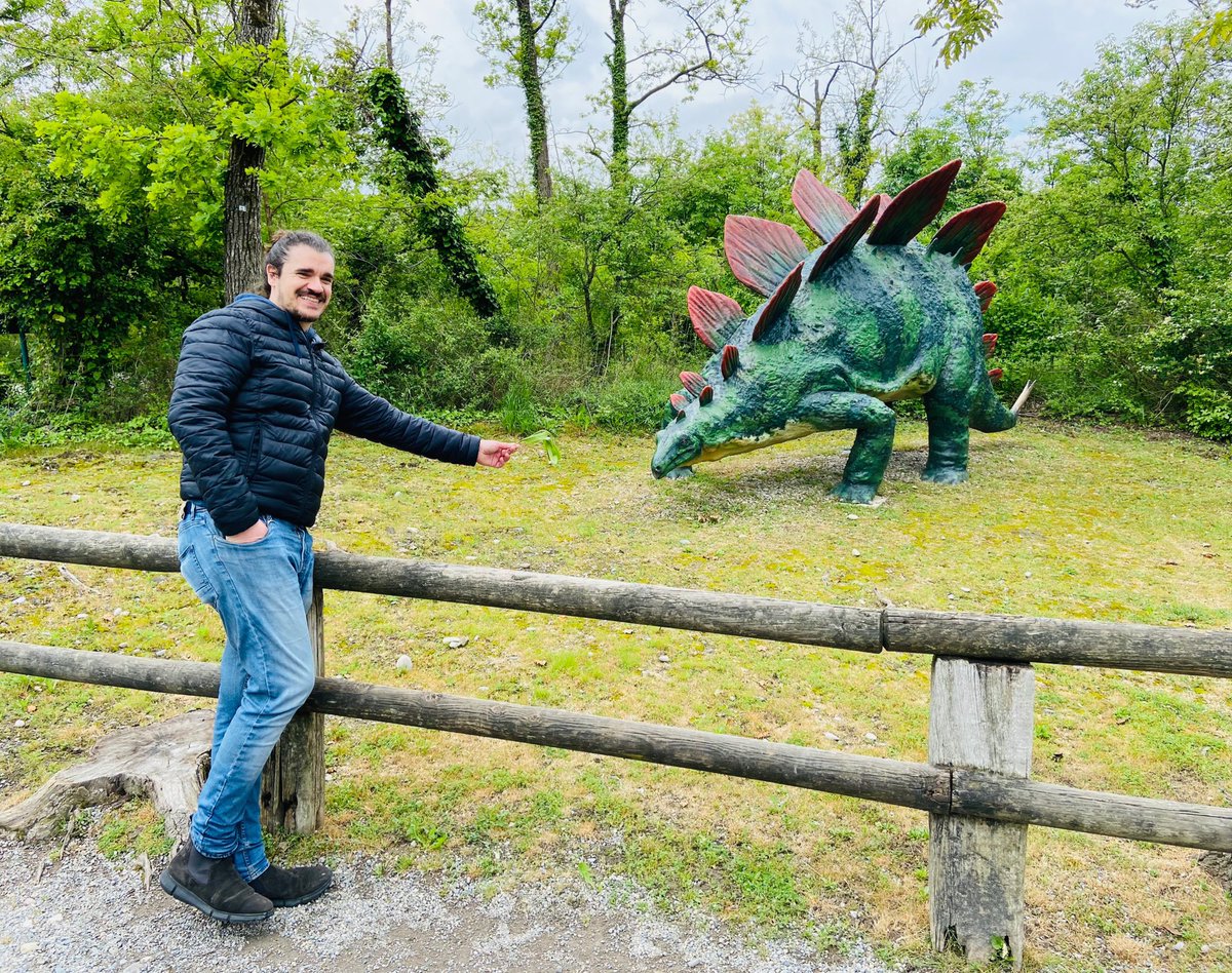 Da piccolo avevo un #stegosaurus giocattolo (dei #Dinoriders) proprio con questi colori! Chi lo avrebbe mai detto che questi fantastici animali fossero proprio di questo colore! ^0^ #ParcodellaPreistoria