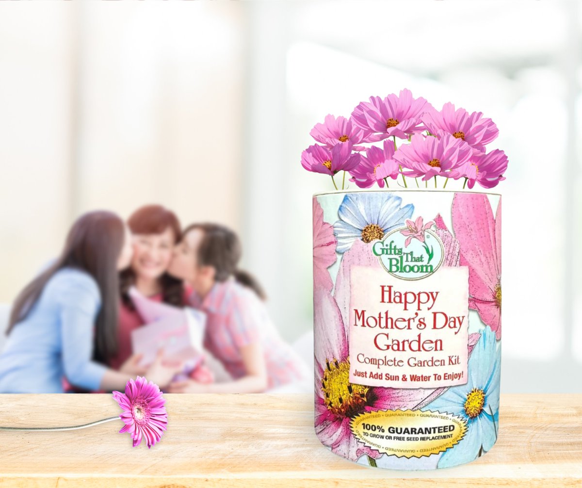 Plant a beautiful mini garden with your mother for Mother's Day. 🩷🌺

fredricksshoppes.com/product/happy-…

#mothersday #mothersdayflowers #giftsthatbloom #happymothersdaygarden #gardenkit #mothersdaygifts