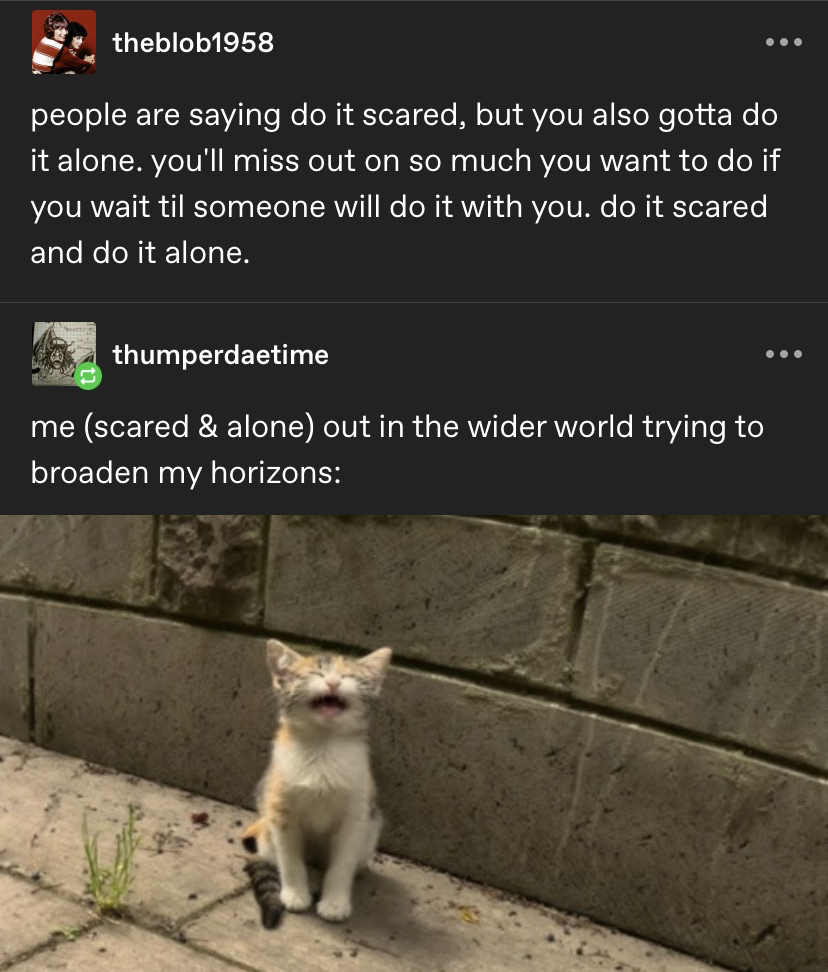 northstardoll's tweet image. 