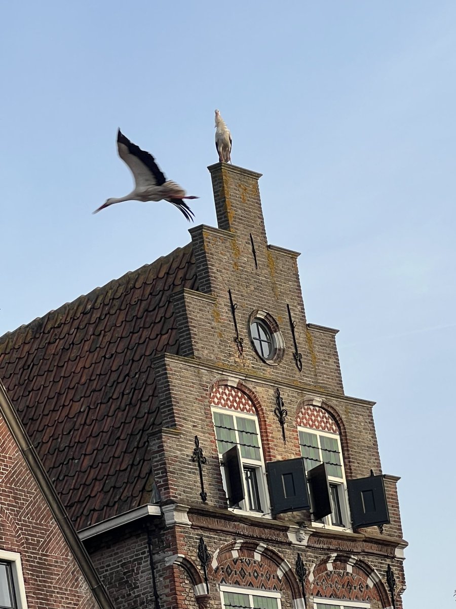 Natuurlijk & Historisch Oudewater gecombineerd 😀 De Magie van Oudwater #groenehart #lopikerwaard