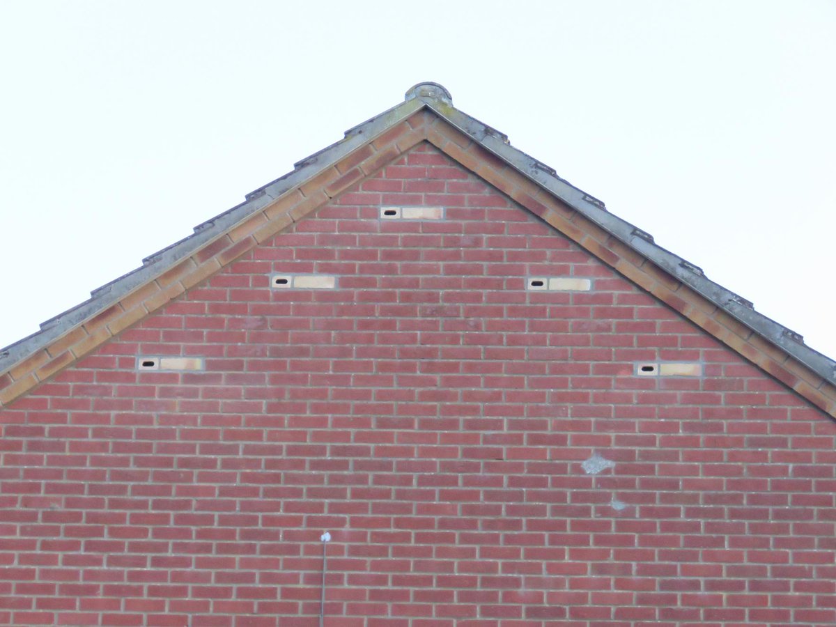 Aylsham now has fifteen nest bricks! Nest bricks provide safe nesting spaces for the lifetime of the #building. Anne and Dave decided on Action for Swifts S #bricks in a contrasting colour for a striking architectural feature on their gable wall. #swifts #Norfolk 📷Dave Martin