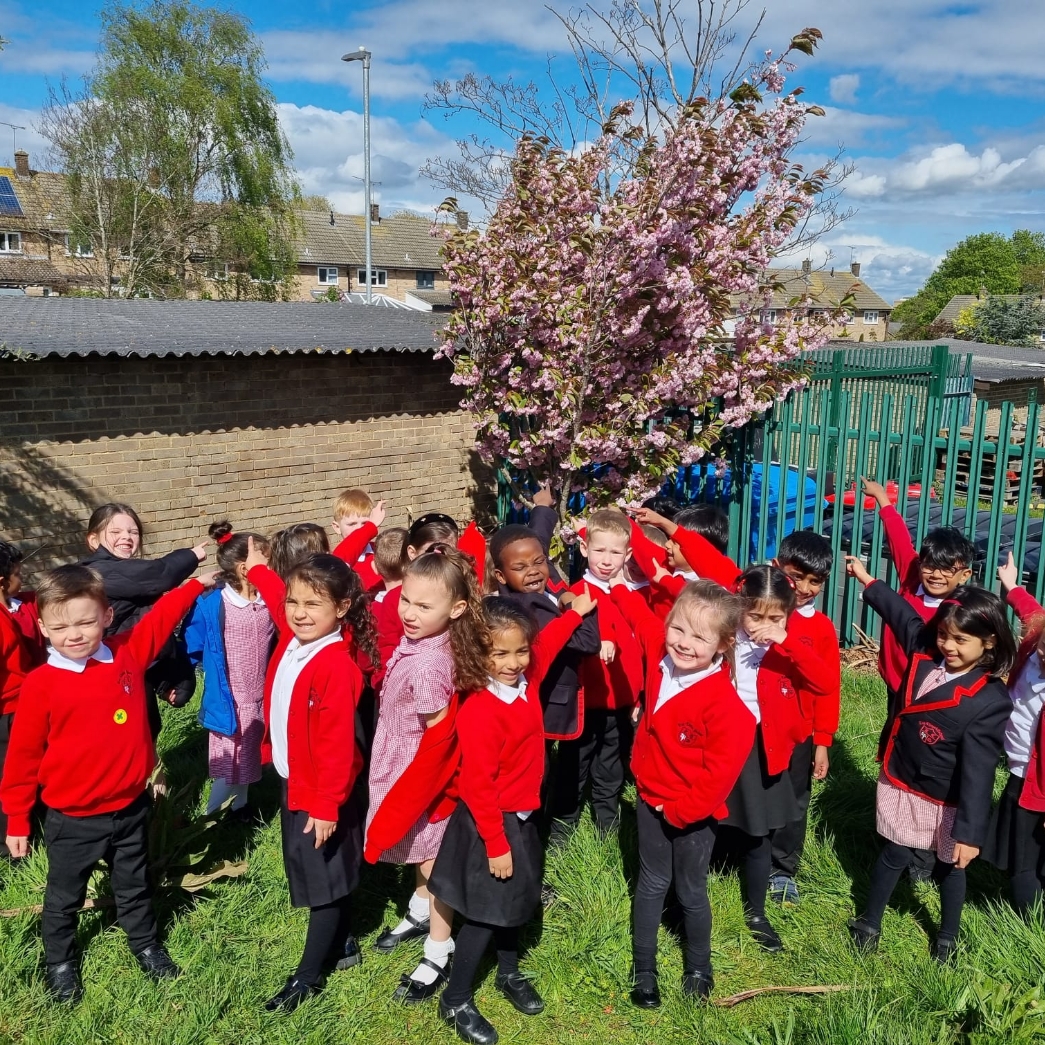 🌿🌼 Year One students have ventured outdoors on a Spring walk🚶‍♂️to identify signs of the season - from blooming flowers🌸 to chirping birds🐦. #SpringWalk #OutdoorLearning 🌱🌺 #Science