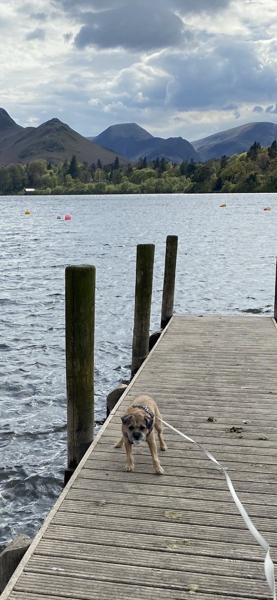 C’mon Ma.  Come on the jetty.  I promise not to pull you in😉