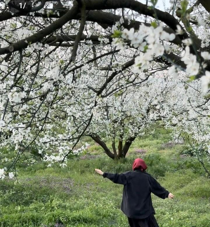 "صدقّني ماهي صدفة انك تقرأ هالكلام بهاللحظة، بس حبيت اذكرك ان لو كان لك نصيب في شيء حتى لو كانت كل الطرق له مستحيله ، الله بلطفه راح يرتب لك كل الأسباب الى ان يصير اللي تبيه بين يديك فاطمئن.