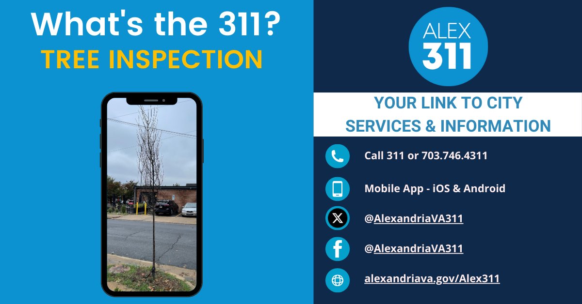 See a withering tree in Alexandria? 🎋 📞 Call us or report it on our app, and we'll inspect it for replanting. 🌳 🌲  Let's keep our City beautiful! #CommunityEffort #Whatsthe311 #AlexandriaVa #ReportTreeInspection