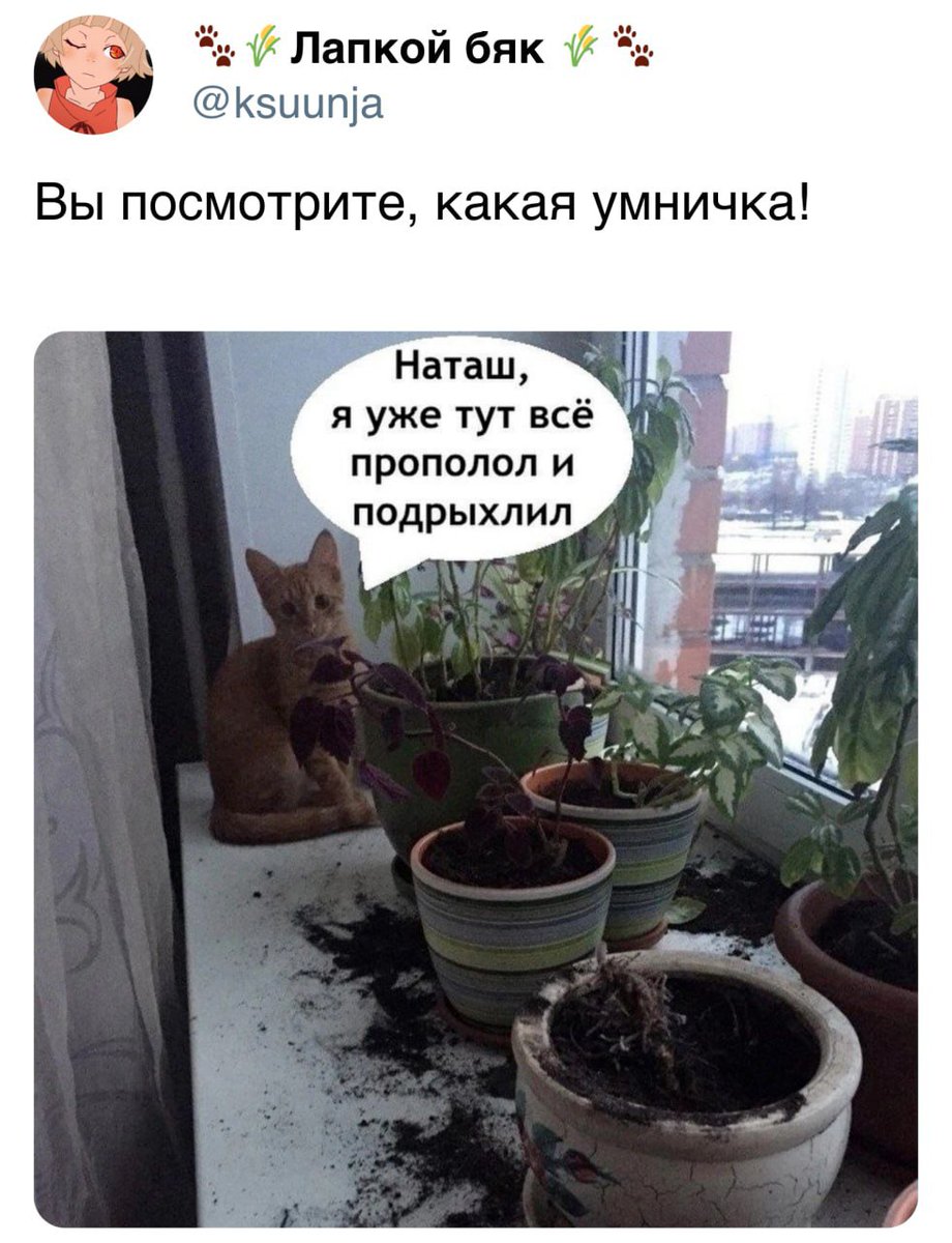 Помощница...