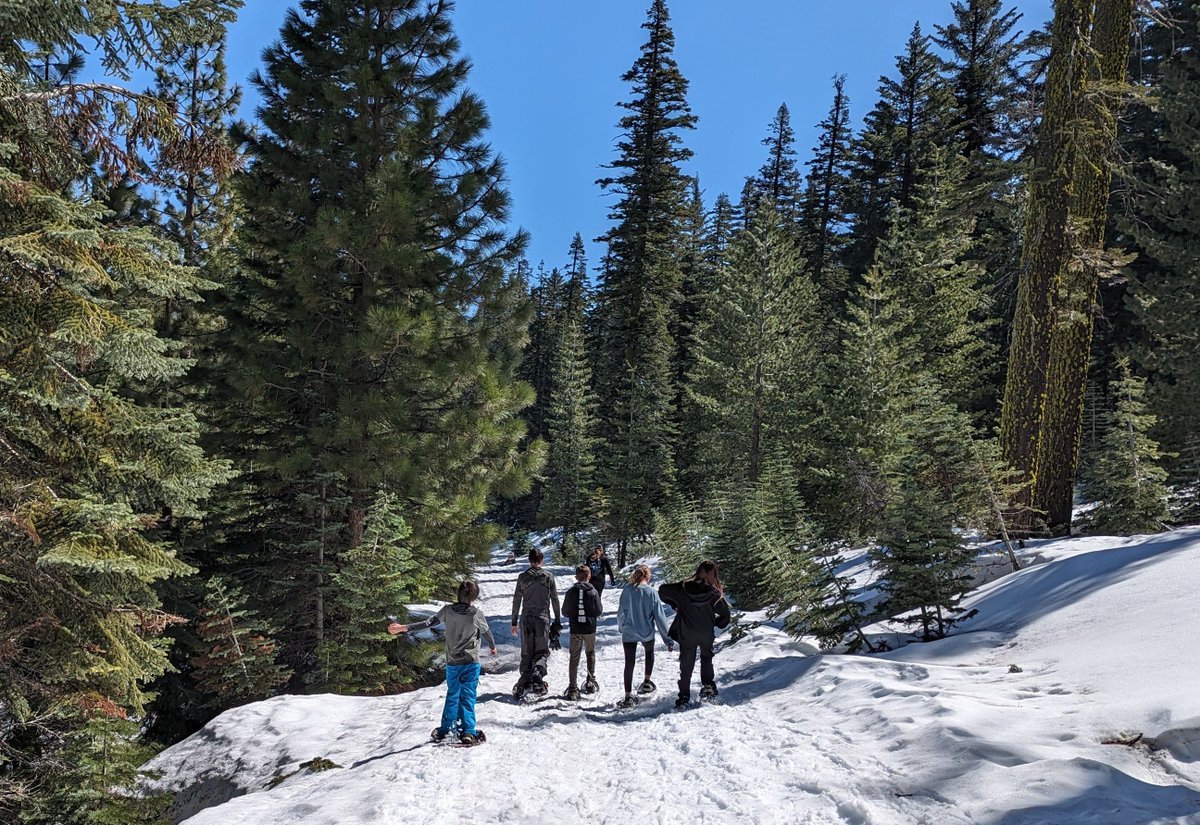 What an incredible day With snow still on the ground, last week Plumas Charter School joined us for a guided snowshoe hike on Morgan Summit lead by Carlos, Visitor Services Info Assistant & Theresa, SilviculturistTech on Almanor Ranger District #GetOutdoors #NatureConnectUs
