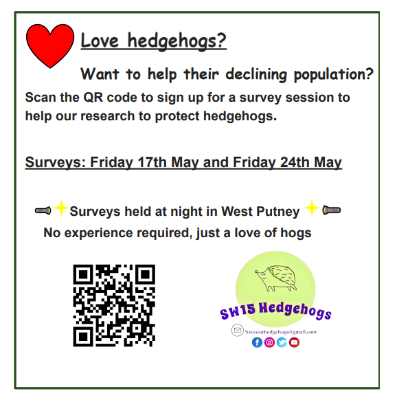 SW15 Hedgehogs tweet media