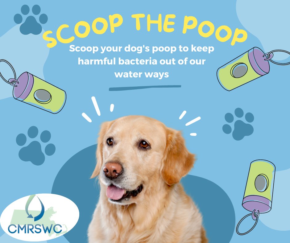 Remember to scoop the poop whenever you walk your dog. Dog waste is full of bacteria that can pollute waterways if it is left behind. #SoopThePoop