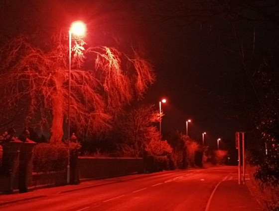 Overlighting has a huge impact on the natural world - that is why this project in Denmark is very encouraging. In an area of high bat populations, this red light is less disruptive to wildlife while allowing people to find their way.